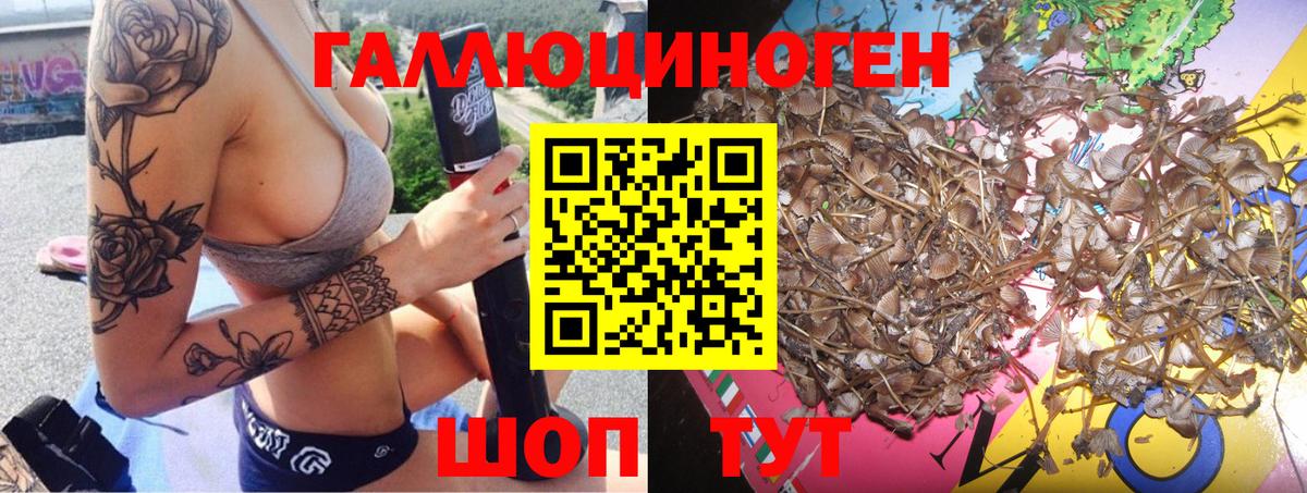 Псилоцибиновые грибы Cubensis  Вход с VPN  Псилоцибиновые грибы Psilocybe  Тара 
